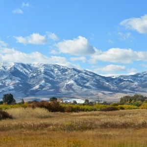 Meet your Posher, Yan